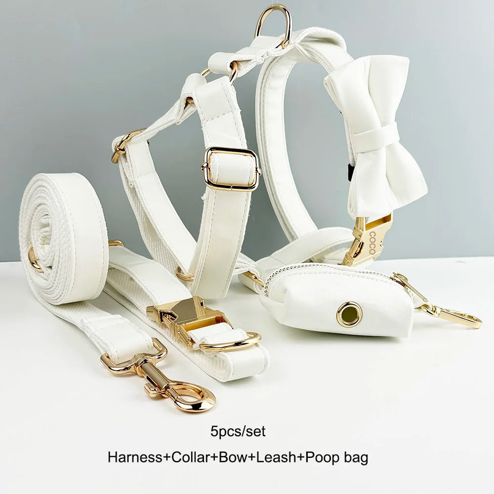 Custom Engraved White Leather Dog Collar And Leash Set