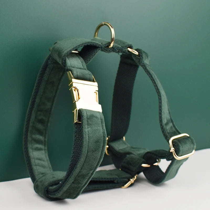 Personalized Engrave Velvet Dog Collar Harness Leash Set