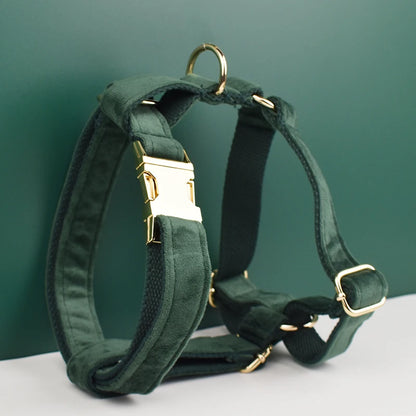 Personalized Engrave Velvet Dog Collar Harness Leash Set