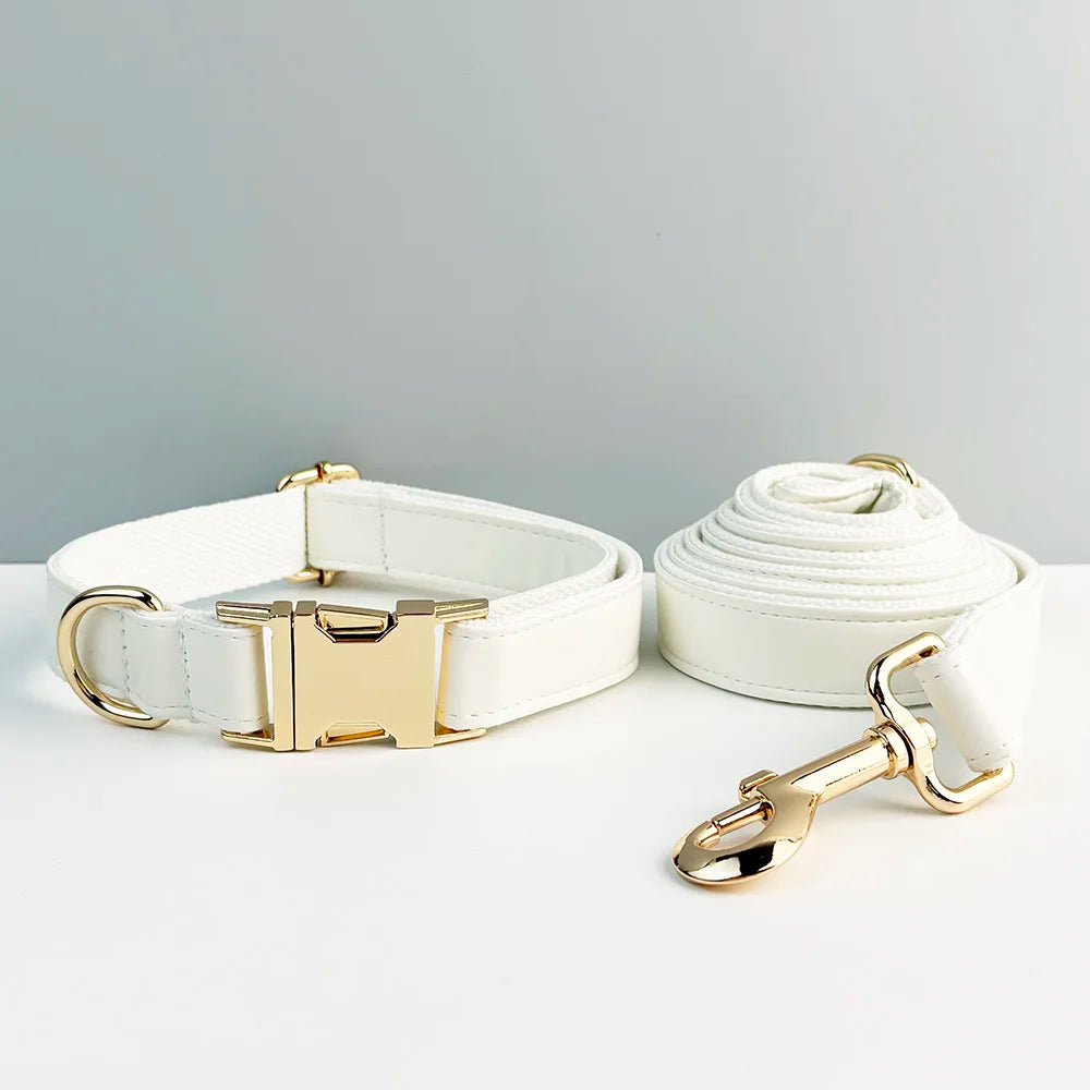 Custom Engraved White Leather Dog Collar And Leash Set