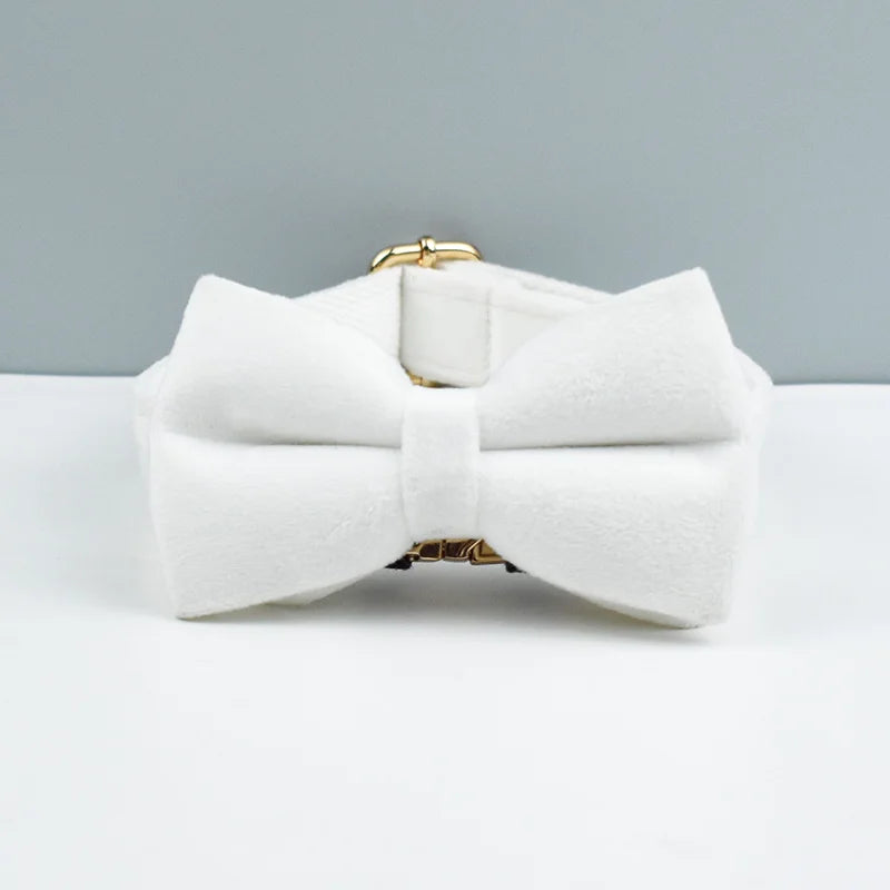 Velvet Dog Collar with Free Engrave