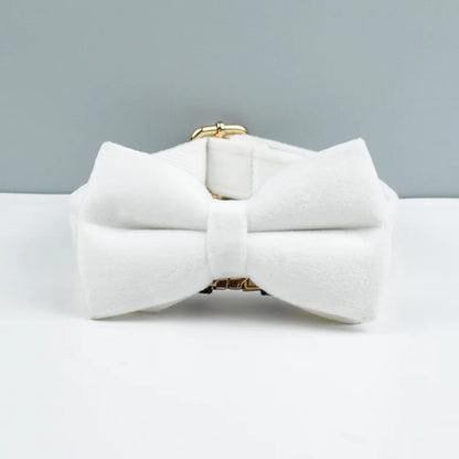 Velvet Dog Collar with Free Engrave