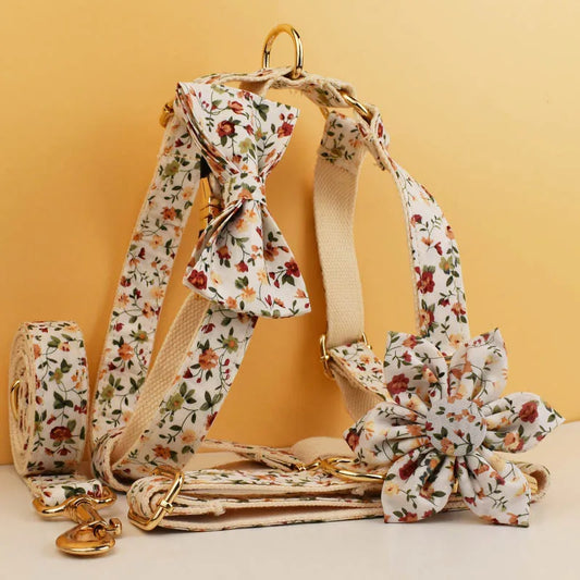 Custom Personalized Dog Collar Harness Leash Set