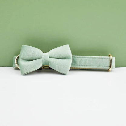 Velvet adjustable dog Collar with personal Engrave