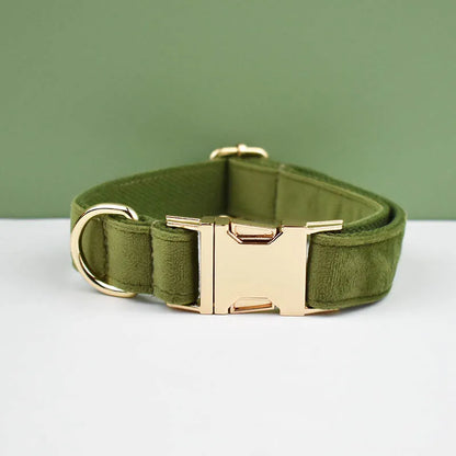 Velvet adjustable dog Collar with personal Engrave