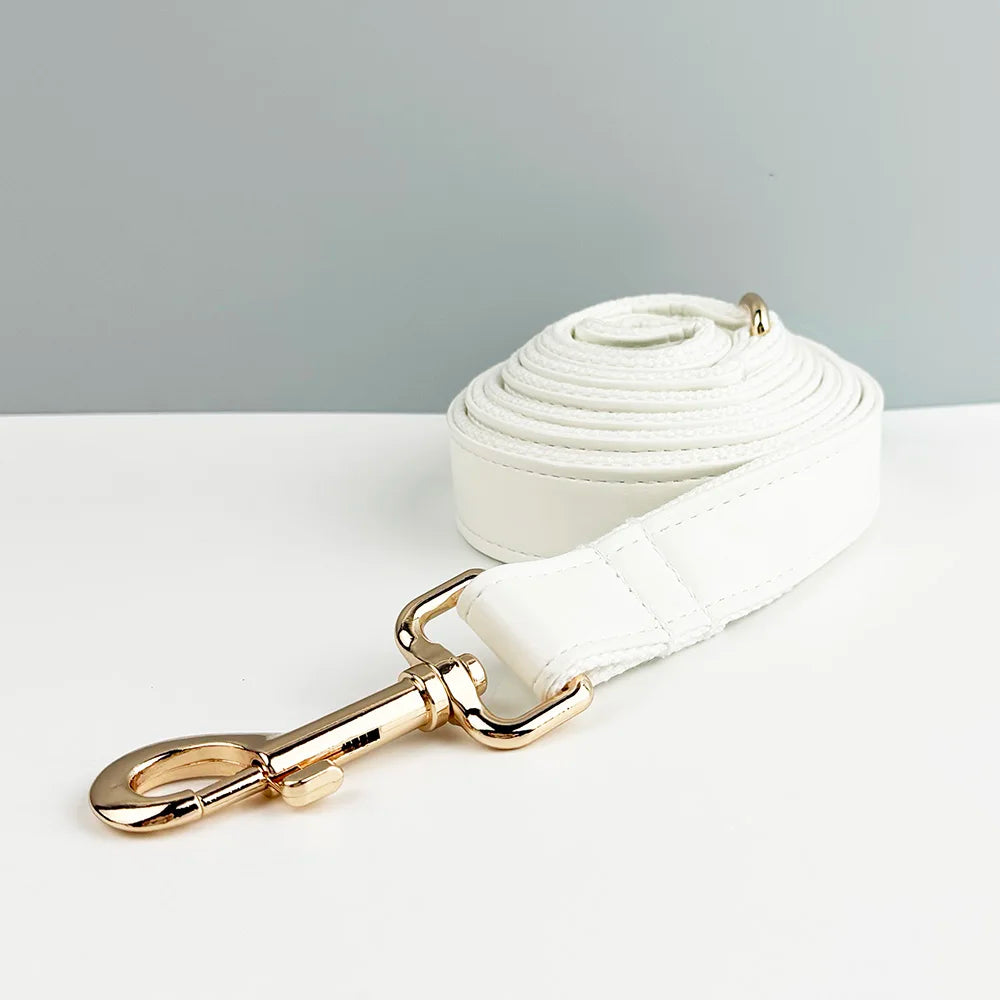 Custom Engraved White Leather Dog Collar And Leash Set