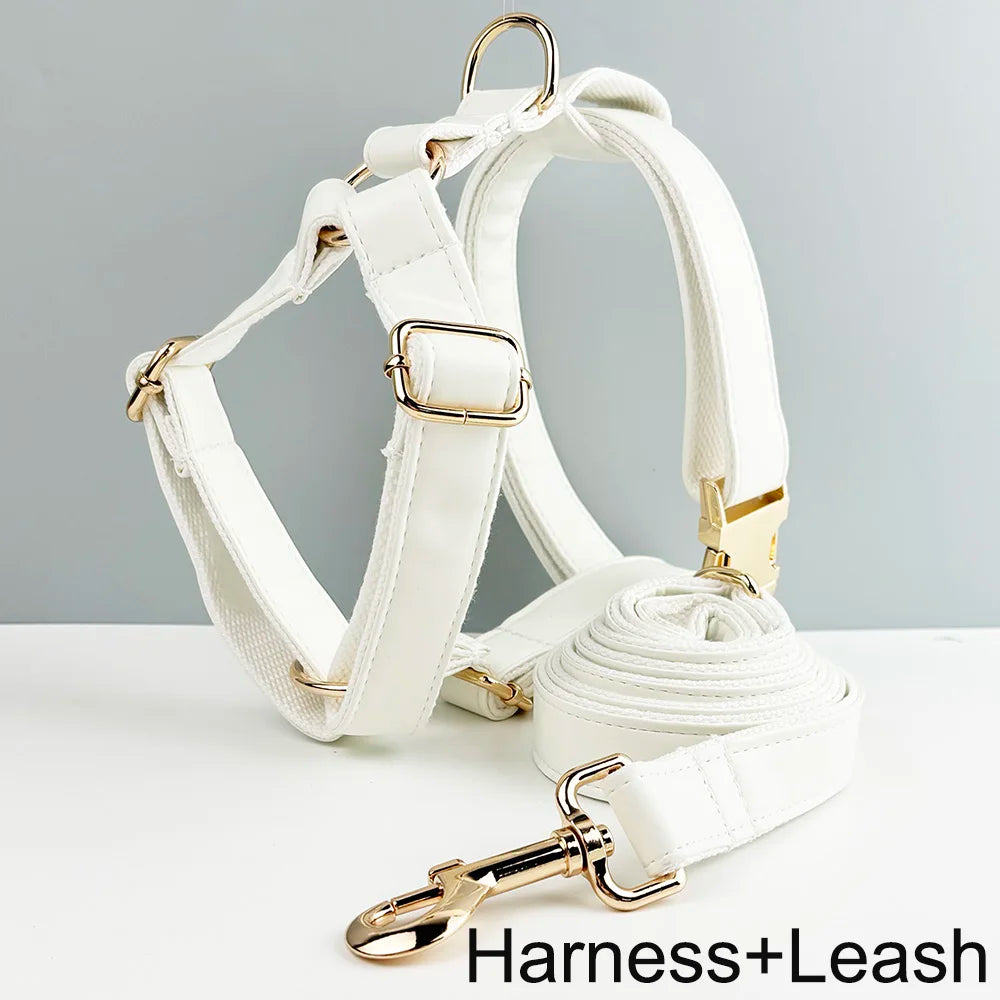 Custom Engraved White Leather Dog Collar And Leash Set