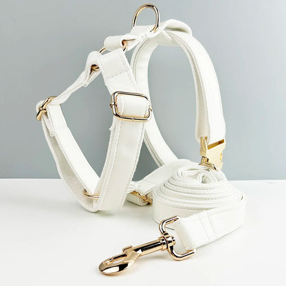 Custom Engraved White Leather Dog Collar And Leash Set