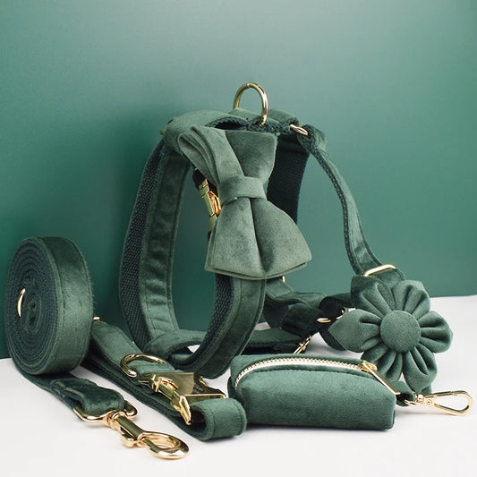 Personalized Engrave Velvet Dog Collar Harness Leash Set