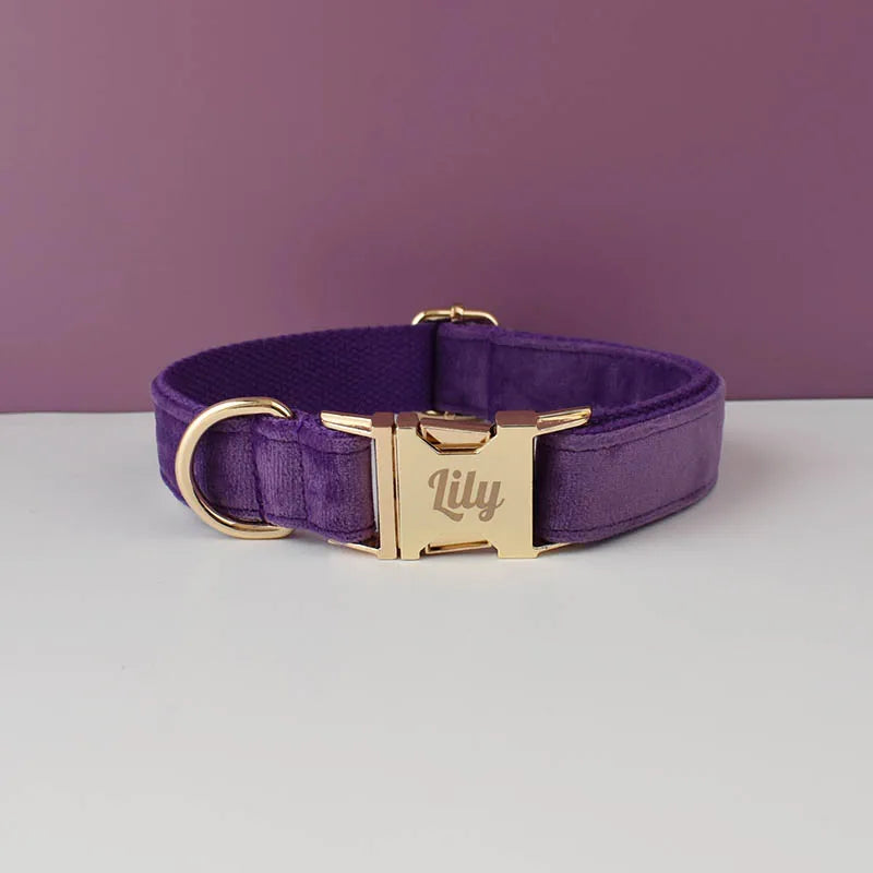 Velvet Dog Collar with Free Engrave